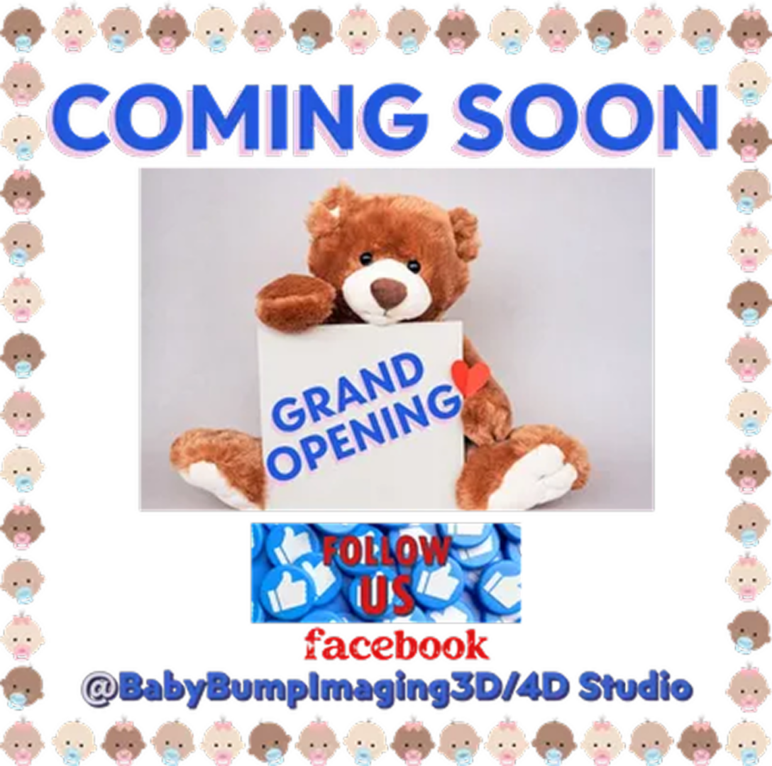 Teddy bear with grand opening sign.
